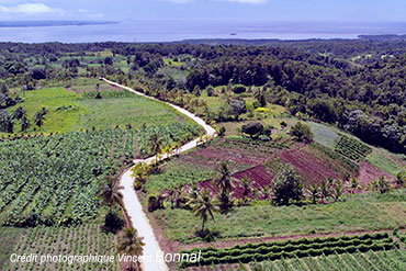 Agri-STAMP