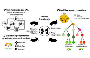 Offre de Post Doc : modélisation