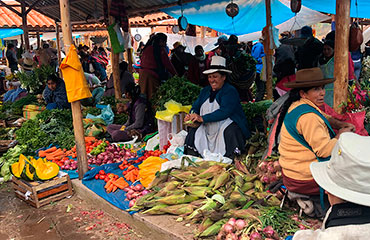 Insécurité alimentaire